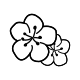 A subtle botanical sketch of cherry blossoms in a minimalist style, illustrating organic contours perfect for a female collarbone tattoo.