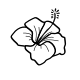 An elegant fine-line drawing of a tropical hibiscus flower blossom, presenting a soft aesthetic suitable for intimate placements like the hip or shoulder.