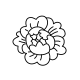A sophisticated fine-line rendering of lush, layered peony flower petals, displaying detailed micro-linework without heavy shading.