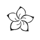 A pristine line art outline of a five-petal Pacific plumeria bloom, showing a swirling organic flow ideal for a discrete behind-the-ear tattoo.