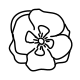 A graceful fine-line sketch of a delicate poppy flower, evoking a sense of quiet grace and modern aesthetic styling.